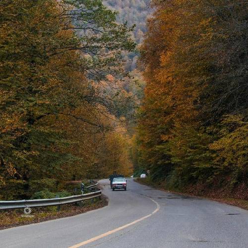  تو دل یک شهر پر از فازهایه منفی راه های مخفی پره خطر مارهای افعی